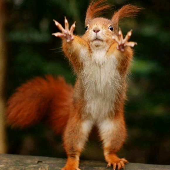 Meet your Posher, Allen - Picture 1 of 1